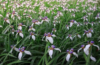 《永劫无间》7月13日登陆PS5 是目前最好的版本